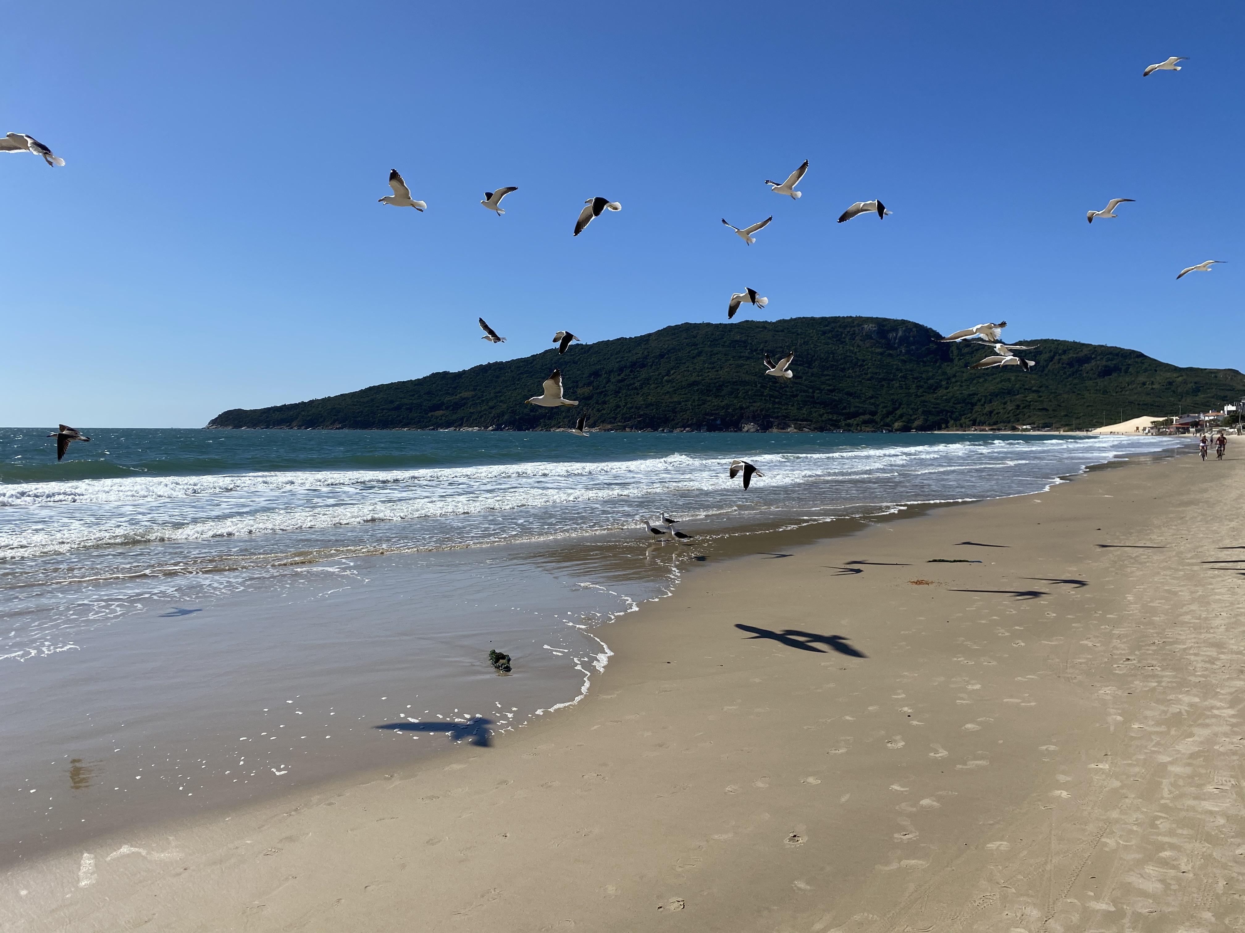 Hotel & Pousada Favareto - Praia Dos Ingleses — Foto’s 2